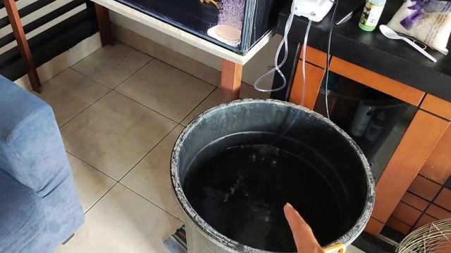 CARA MENGOLAH AIR PDAM UNTUK AQUARIUM || AMAN UNTUK KOKI !!