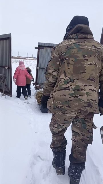 Помощники растут