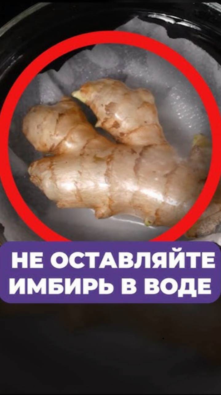 ВОТ что случится с ИМБИРЕМ, оставленным в ВОДЕ! #имбирь #вода