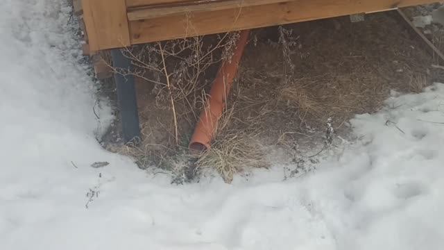 Слив в бане и приток воздуха в парную. Мыло, мыло, мыло...