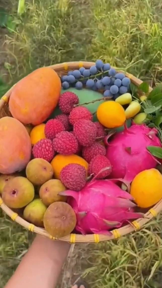 🥭🍇🍈🍊🍒Самое красивое блюдо из фруктов! #shorts #фрукты