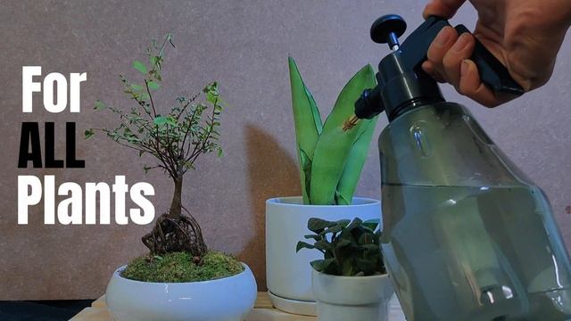 P Secret PLUS X Organic Liquid Fertilizer