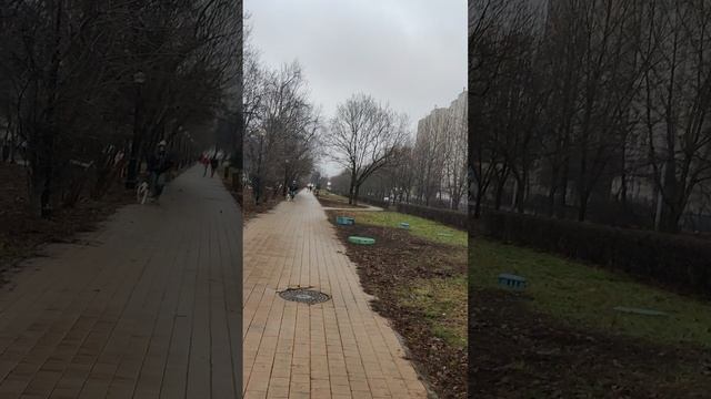 Реновация в Москве.Зеленый проспект