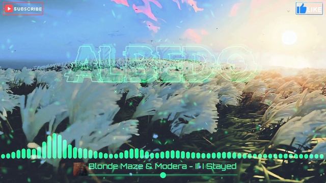 Blonde Maze & Modera - If I Stayed