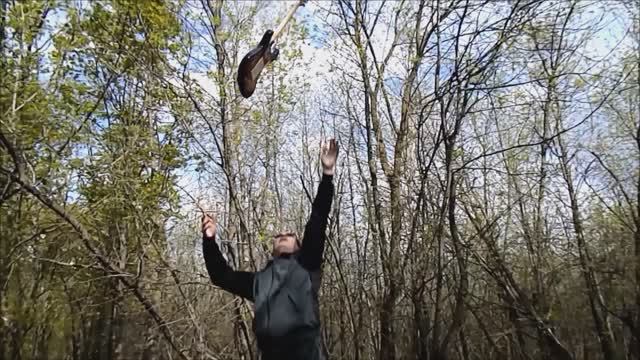 Грибы