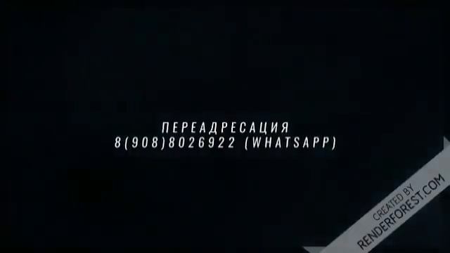 Умная Киса против звонилок 👍👍👍/#дантес/#коллекторы/#антиколлектор/