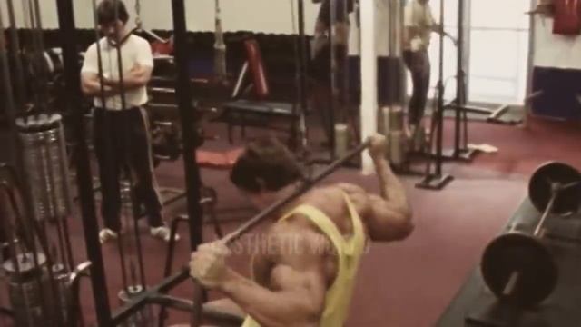 EPIC REACTIONS TO ARNOLD SCHWARZENEGGER WORKING OUT IN PUBLIC