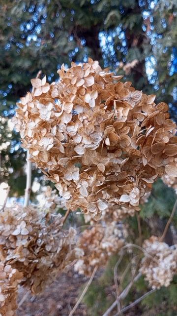 30.01.2025 #сегоднятак #сегодня #природа #nature #oggicosì #бүгін #oggi #hoy #今日 #today #오늘 #자연 #自然