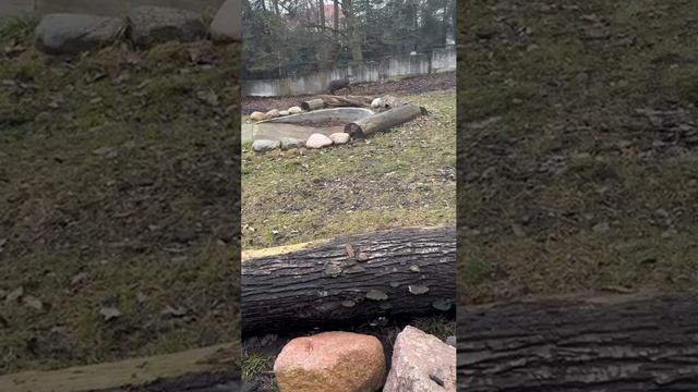 Переживаем зиму