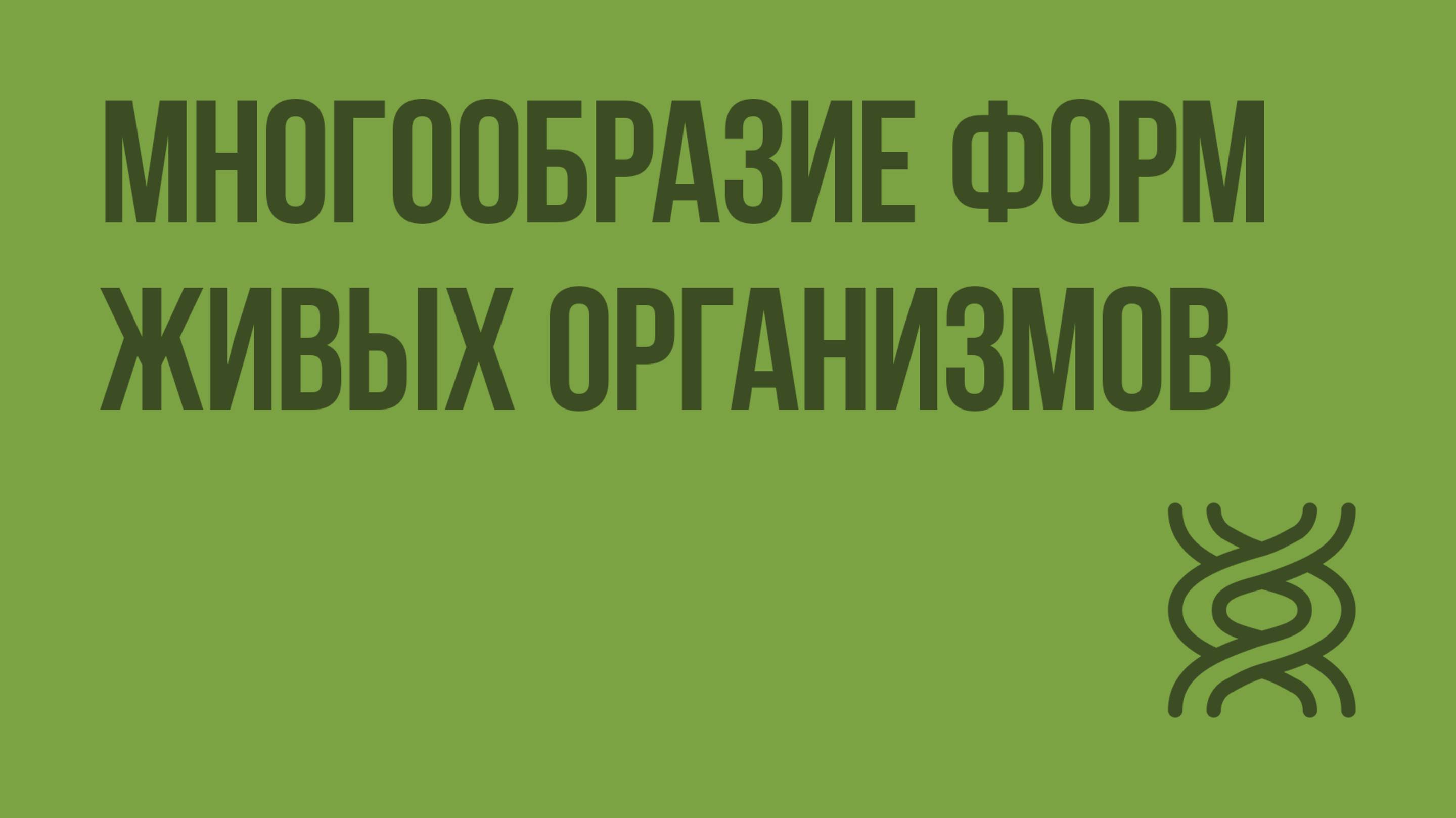 Многообразие форм живых организмов