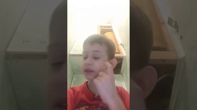 Гаварю что нада делать чтобы поднять контент