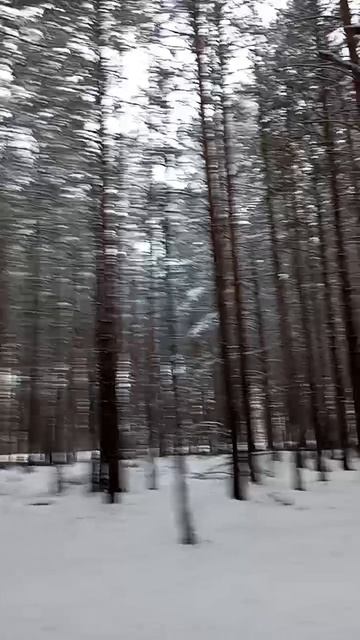 Прогулка