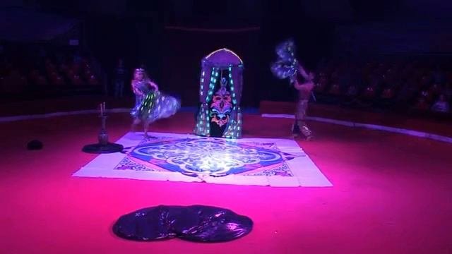 Шоу с трансформацией костюмов 89015444723