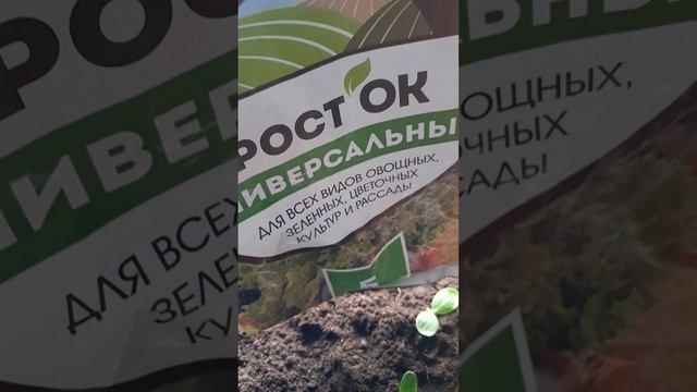 Огурцы на подоконнике [ все про все ]