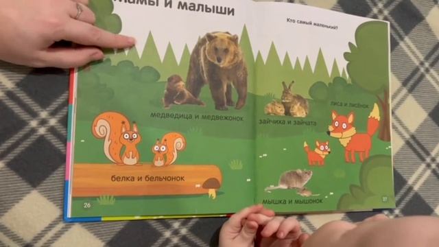 Изучаем с Кириллом новую книгу. 📖