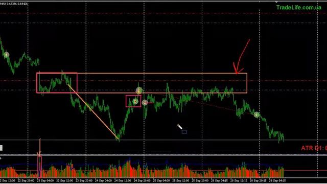 Как торговать на Форекс. VSA анализ. AUD