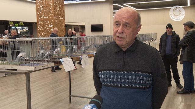Соревнование голубей в Лужниках
