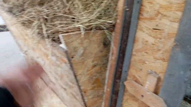 Как сделать кормушку для коз.