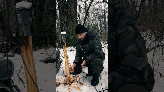 Заячий солонец