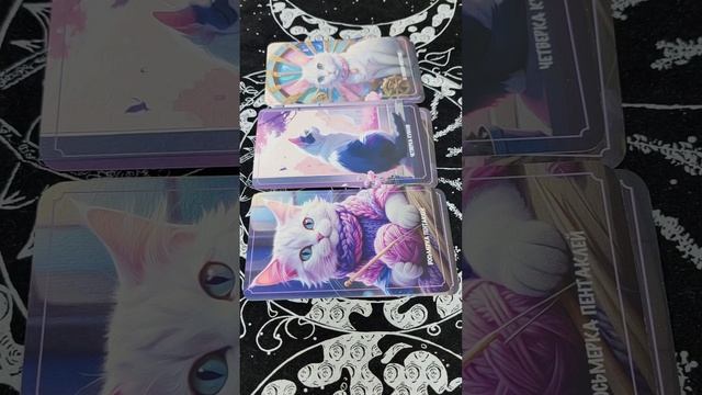 🧭 Минутка с Таро #300125 III Таро расклад