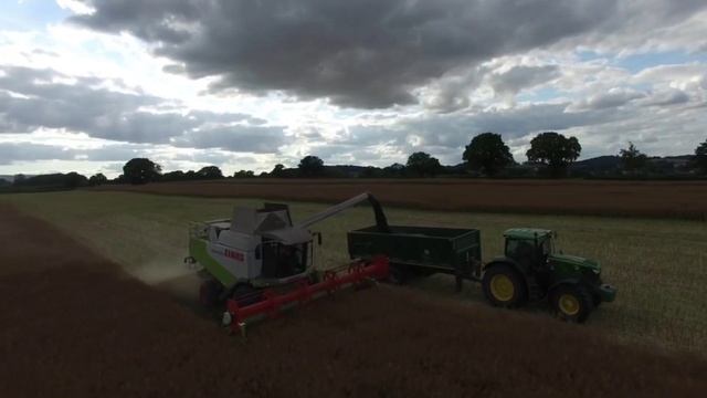Combing Oil Seed Rape