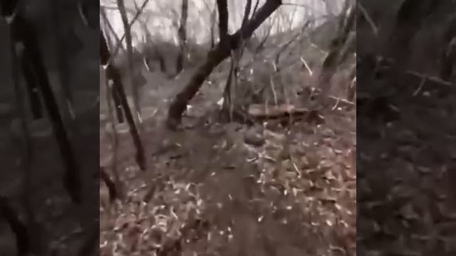 Солдат из Югры снял на видео как он выручил своего товарища оставшегося на передовой !!!