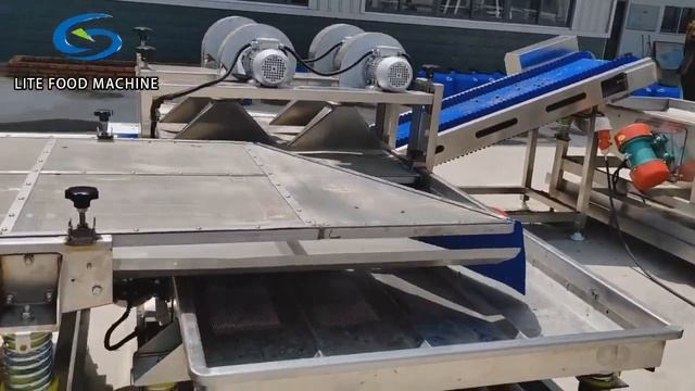 Bug， larvae,Black Soldier Fly larvae，washer cleaning and drying production line（blanching machine ）