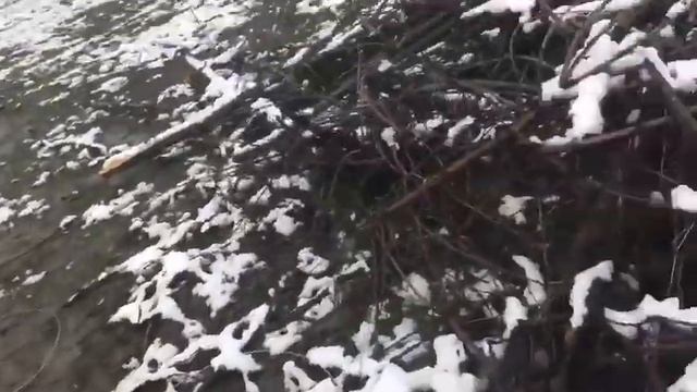 2. Краснодар, ст. Елизаветинская, снт. Восход