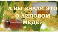 А вы знали это про липовый мёд?