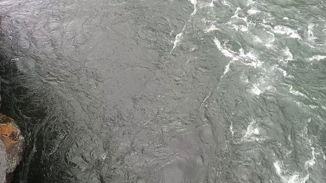 1000099369.mp4