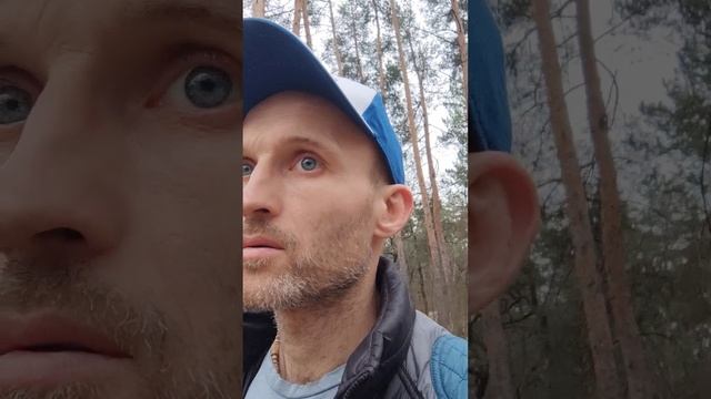 Обида. День 6.
