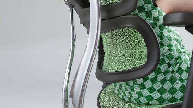 Features Display_Ergohuman Elite 2