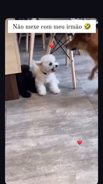 1000072554.mp4