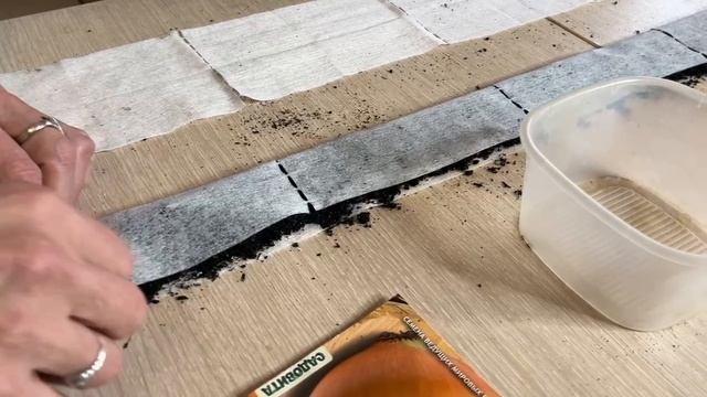 Выращиваем ЛУК из СЕМЯН