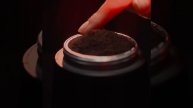 Carmencita Black - Treat her gently | Lavazza