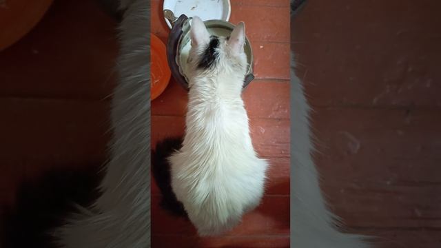 1000010155.mp4