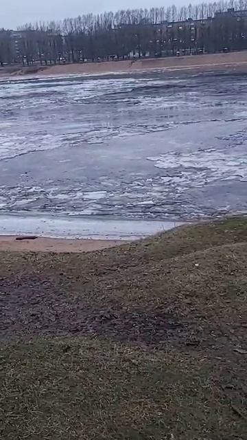 VID-20250130-WA0000.mp4