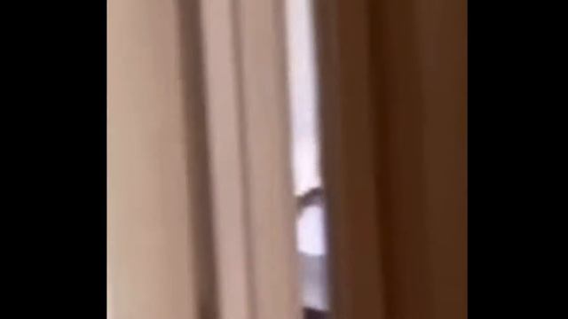 👻 Леденящие душу наблюдения за привидениями: Ужасающие моменты, которые Вы никогда не забудете! 💀