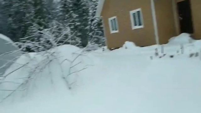 Начало зимы на даче. Участок в декабре. Деревья укрытые сеткой. Сад зимой.