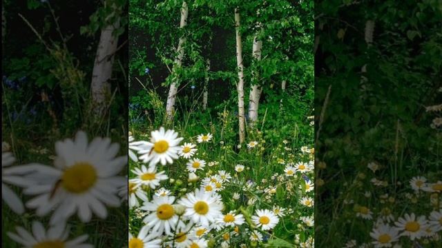 Детям внукам человечеству
Ведь Земля наше Отечество