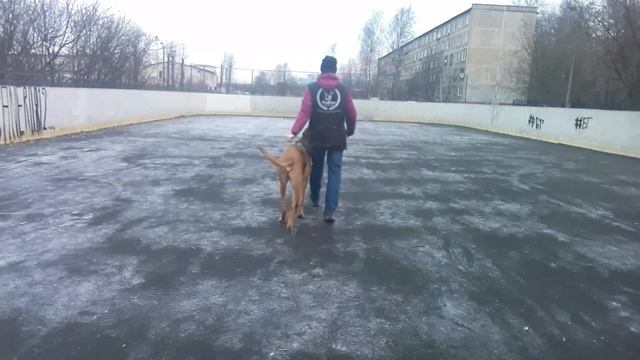 Рядовость, повороты