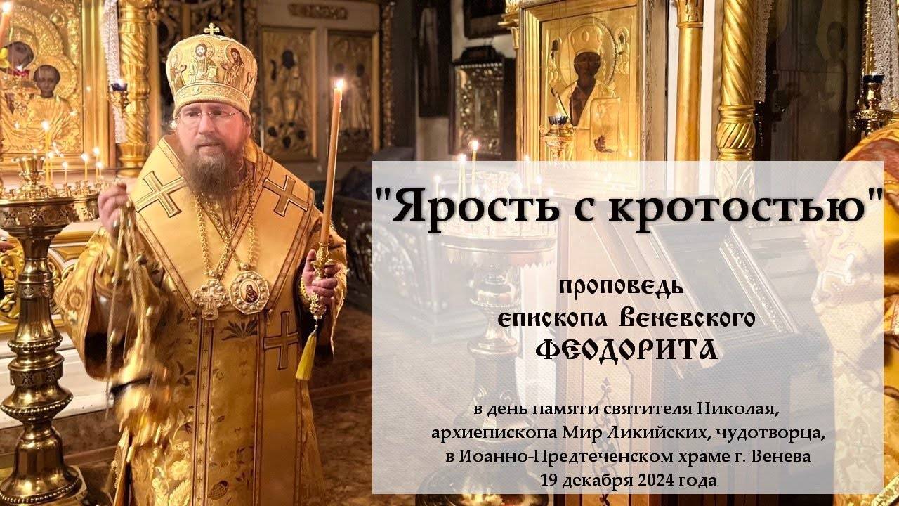 "Ярость с кротостью". Епископ Венёвский Феодорит.