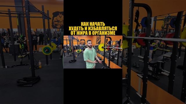Как начать худеть и избавляться от жира в организме?