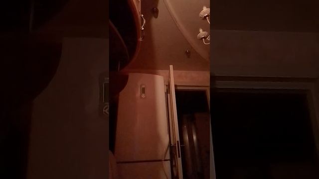 VID-20250130-WA0003