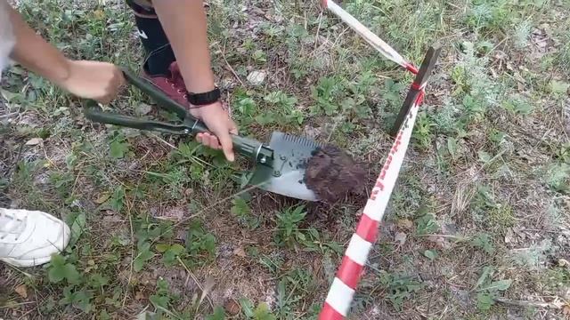 протока