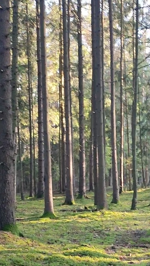 Январская весна в Беларуси