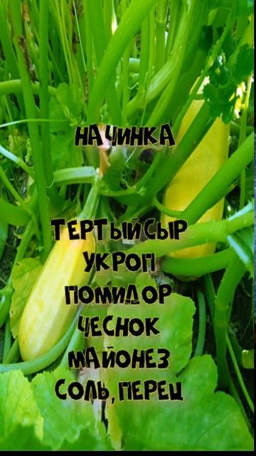 Рулетики из кабачков