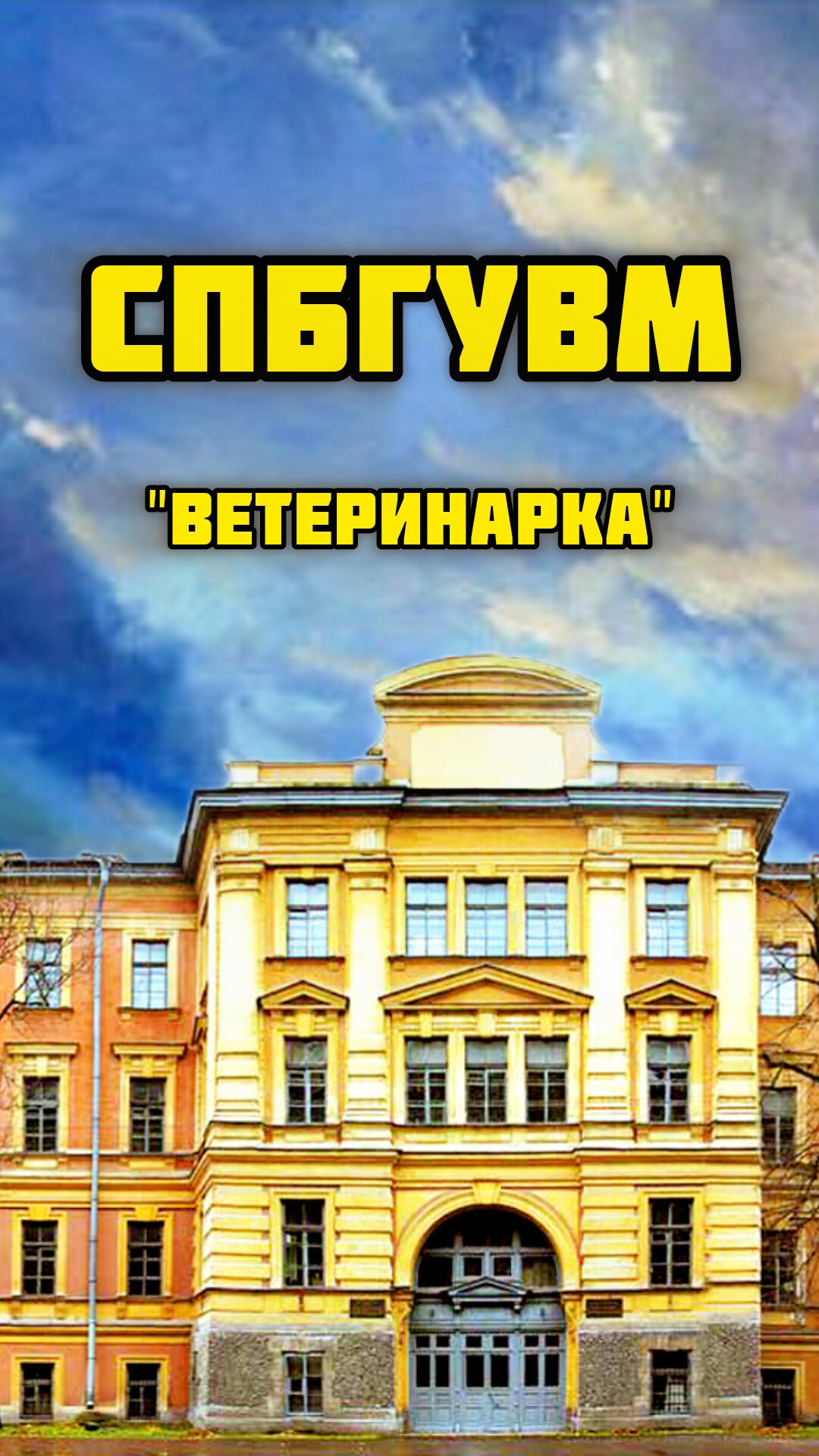 Санкт-Петербургский государственный университет ветеринарной медицины / Черниговская 5 / Богадельня