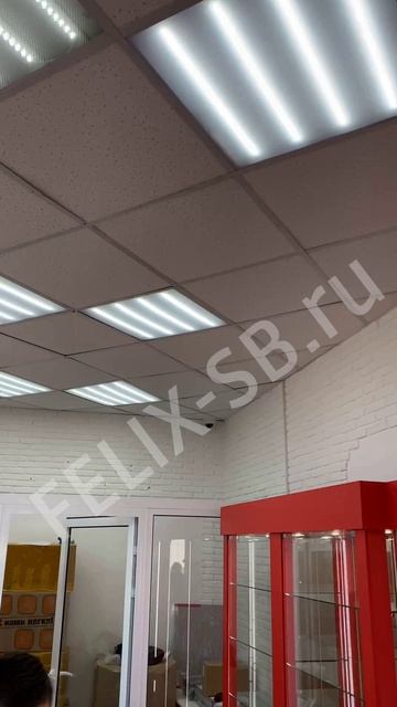 Выполненная система видеонаблюдения в сети магазинов "Оптика" | ФЕЛИКС-СБ