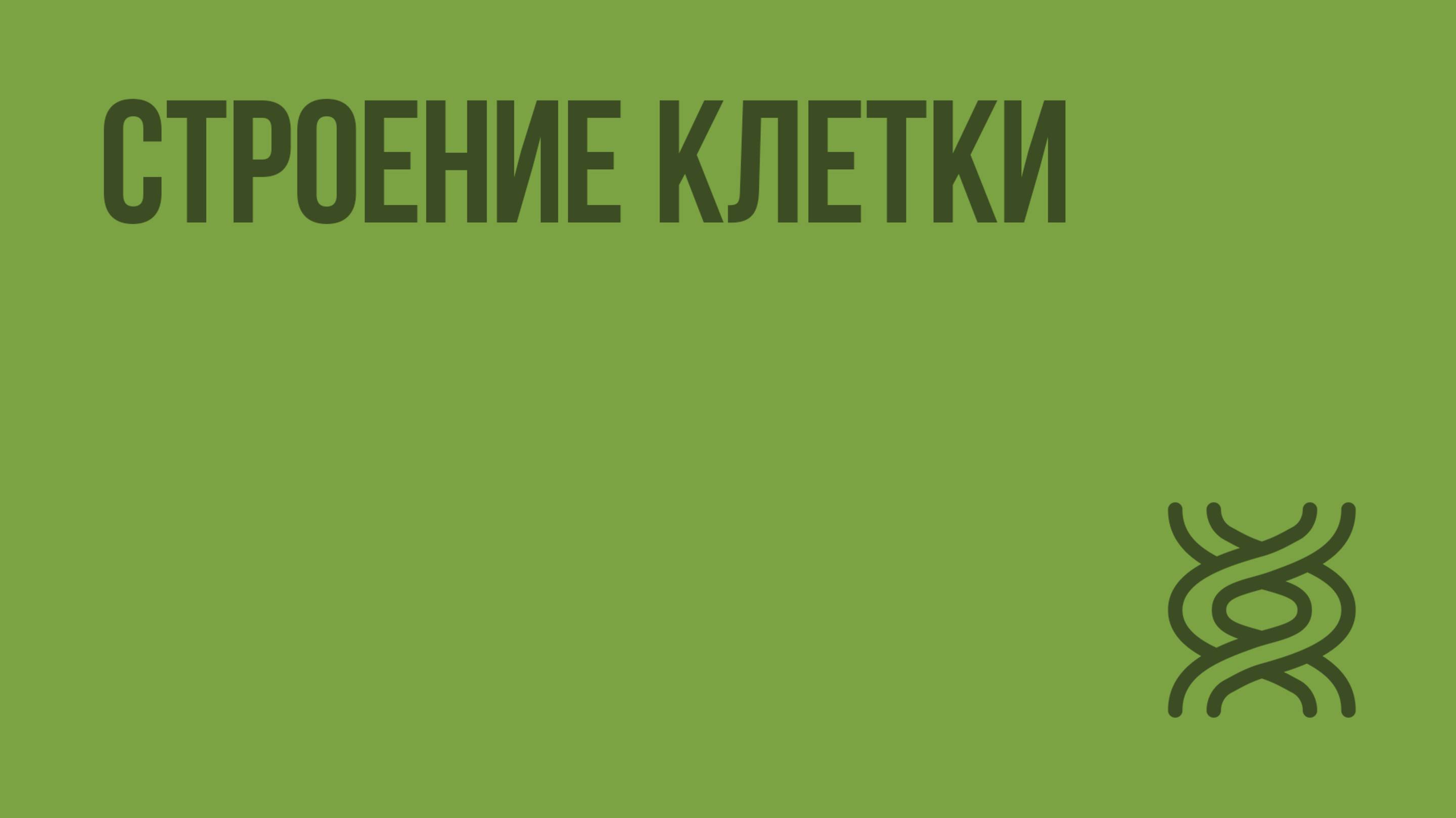 Строение клетки. Видеоурок по биологии 9 класс